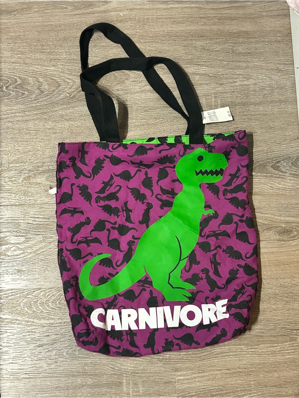 Disney Parks Dinosaur Reversible Tote - NWT Animal Kingdom Dinoland Souvenir